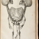 Illustration for article titled Own a Piece of Morbid Medical History